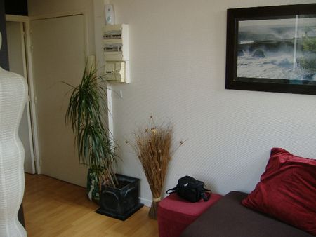 Location Appartement 2 pièces 38m² - Photo 4