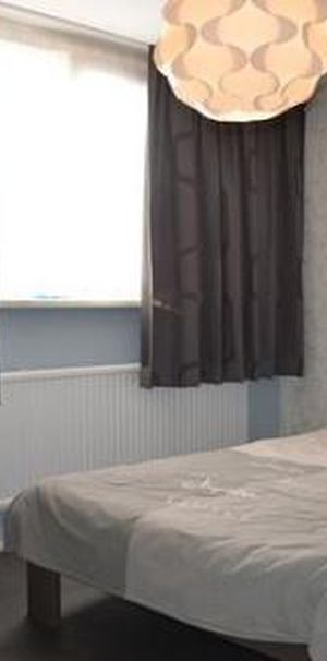 Johannes Vermeerstraat 3583 AP Utrecht - Foto 2