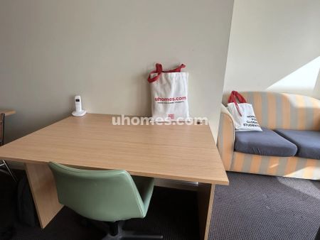 Standard Studio - Photo 3