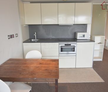 1 Bedroom Apartment - Photo 6