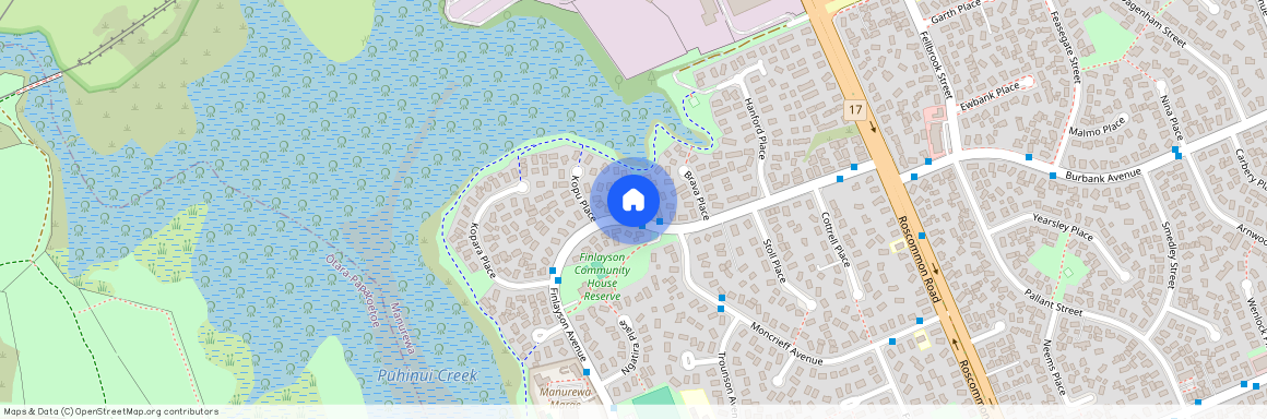 45 Finlayson Avenue, Clendon Park, Manukau City