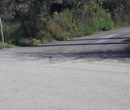 Διαμέρισμα για ενοικίαση - Συκάμινο, - Photo 5