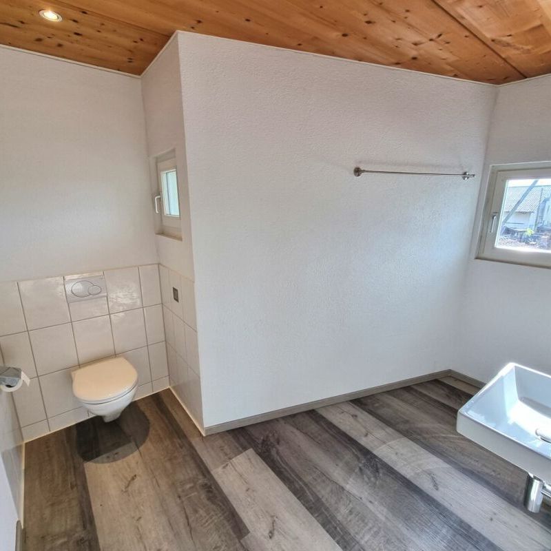 Petit mais SYMPA ! - Photo 1