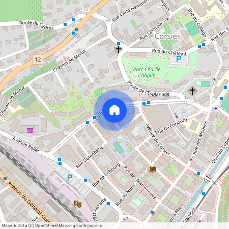 Rue des Tilleuls 22, 1800 - Vevey, Suisse