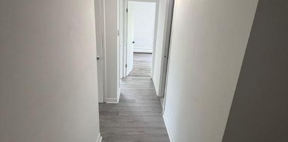2 CH - 1 SDB - Québec - $1,349 /mo - Photo 2