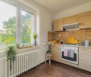 Pronájem bytové jednotky 2+1(55 m - Photo 3