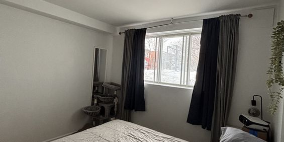 4 1/2 Rosemont Masson / Parc Molson - Photo 3