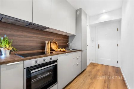 Designový 1+kk po kompletní rekonstrukci, Žižkov – Jeseniova - Photo 4