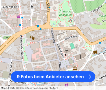 Helle 3-Zimmer-Wohnung mit großem Balkon im Herzen von Bensheim - Foto 1