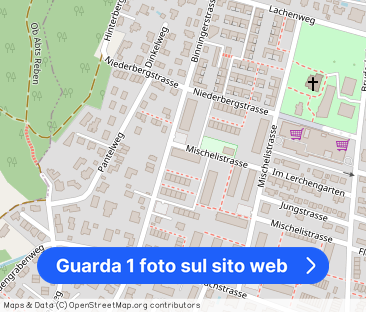 Live quietly in Reinach – SUMMER OFFER - Foto 1