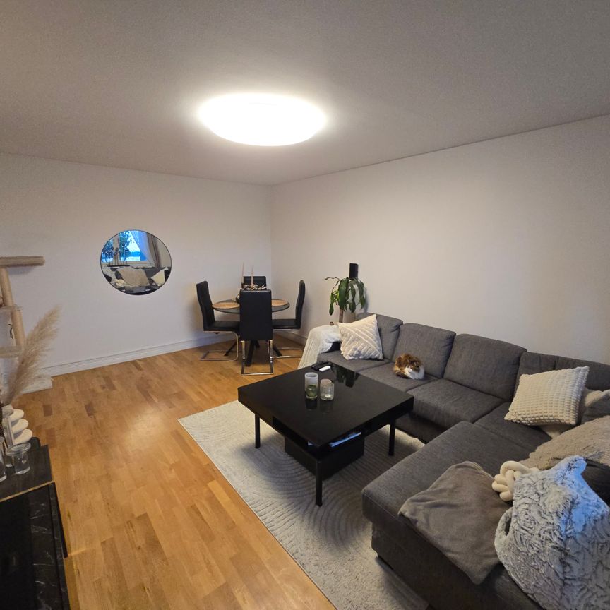 Stadiongatan, Malmö - Foto 1