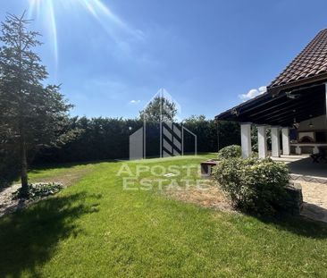 Casa cu 5 camere de inchiriat, curte proprie, Sanmihaiu Roman, Timis - Fotografie 4