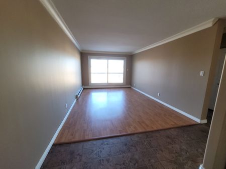 1 Bedroom Apartment w/ In-Suite Laundry!!! - Photo 3