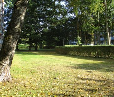 SANKT AUGUSTIN, schöne helle 2 Zi. Wohnung, Diele, Bad, großer Balk... - Photo 6