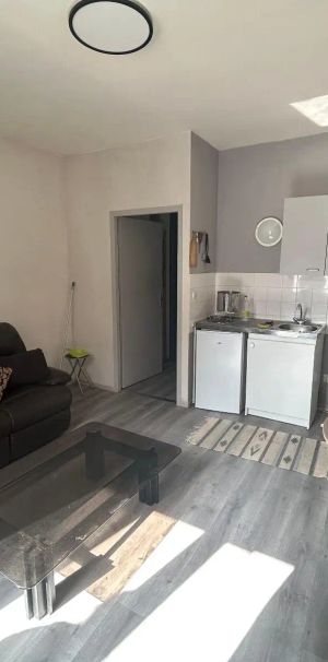 Appartement à louer 1 pièce 36.49m² - Photo 1