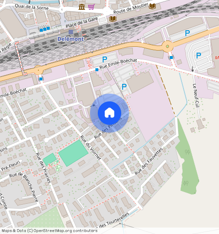 Pinsons 11, Delémont