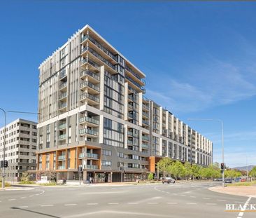 934/335 Anketell Street, Greenway ACT 2900 - Apartment For Rent | D... - Photo 4