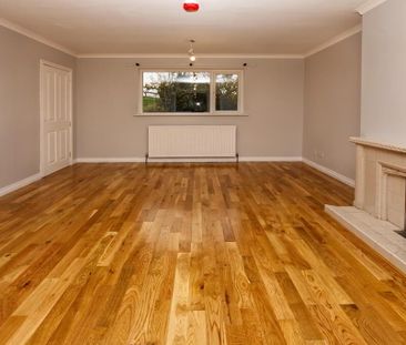 75 Hillside Road, Ballynahinch, BT24 8UL - Photo 4