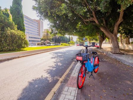 Calle Tejares, Málaga, Andalusia 29011 - Photo 5