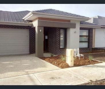 11 Otto Street, CRANBOURNE EAST - Photo 3