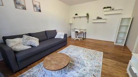 Apartment for Rent in Cluj-Napoca, right in the center of town, spatious and in a quiet area, consisting of bedroom, living room, separate kitchen and bathroom. - Fotografie 3