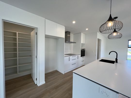 16 Verstappen Drive, Rolleston - Photo 1