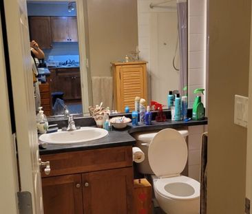 1 Bedroom at Old Yale Heights! - Photo 6