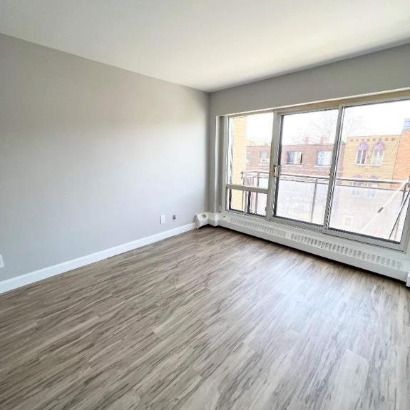 Studio - Montréal - $1,060 /mo - Photo 1