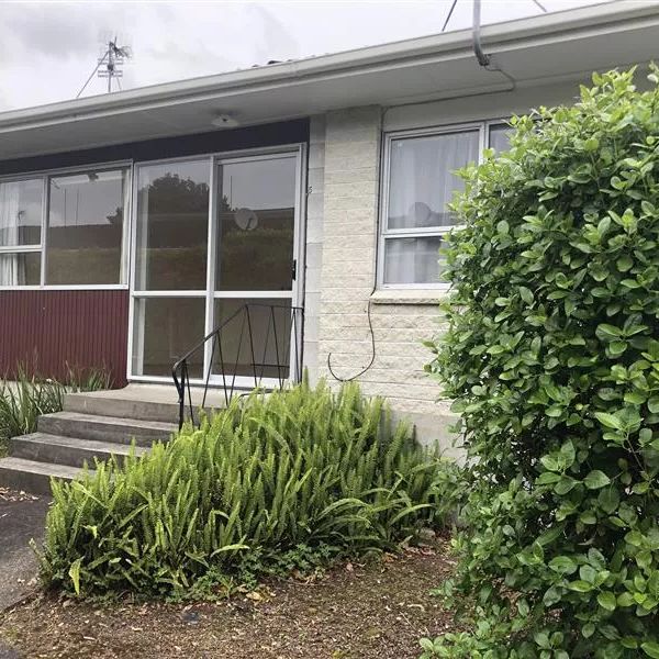 TIDY STUDIO FLAT IN MT EDEN - Photo 1