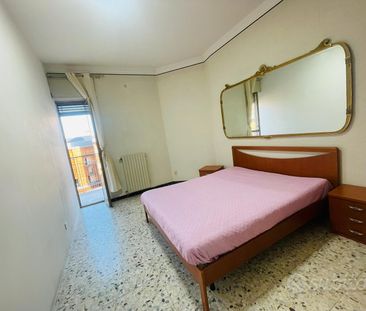 Corso Italia stanza in appartamento condiviso - Photo 5