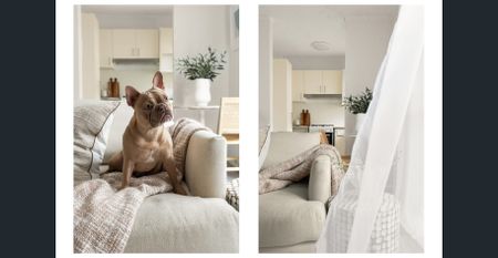 Sunlit Apartment in Leafy Dee Why Location - Photo 2