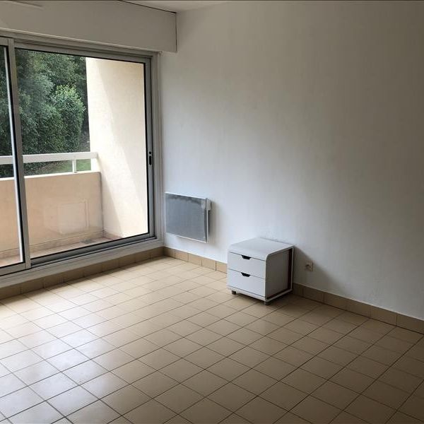 Location Appartement 1 pièce 20m² - Photo 2