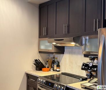 102-869, rue Saint-François-Xavier, Terrebonne (Terrebonne) à louer - Photo 5