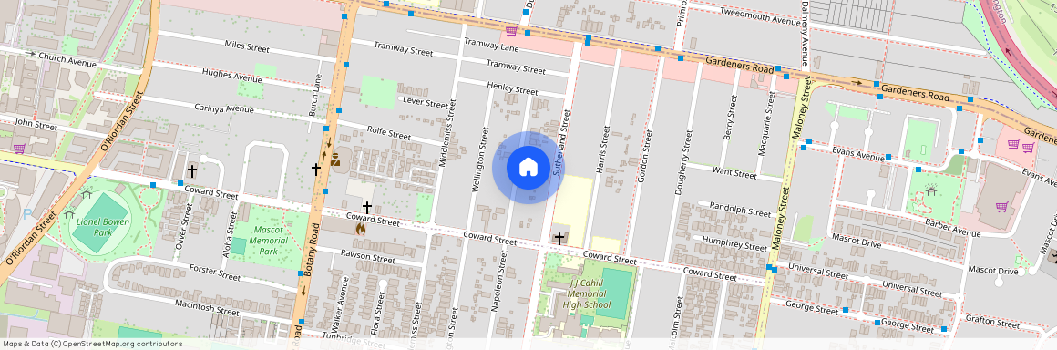 21 Napoleon Street, NSW 2018, Rosebery