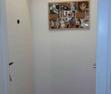 2.5 Zimmer, 40 m², EG - Foto 3