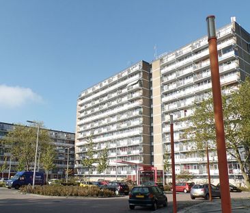 172, Wederikstraat, 2403 CJ, Alphen Aan Den Rijn - Foto 1