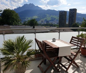 Gemütliche Wohnung mit Sicht ins Grüne und auf den Pilatus - Foto 2