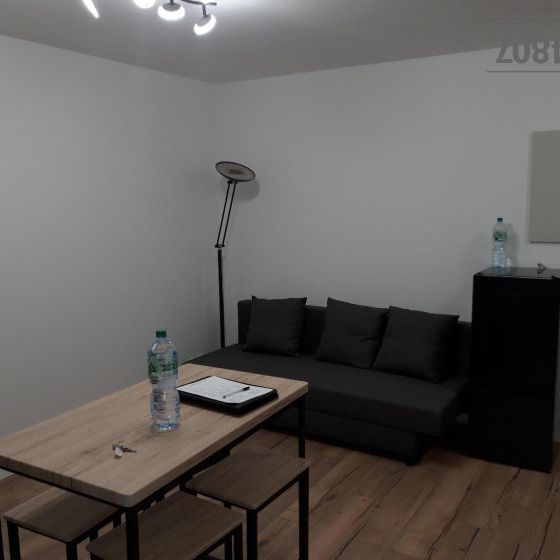 Appartement T2 à louer à Marignier - Photo 1