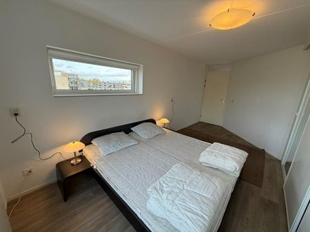 Zeelandiahoeve 273 - Photo 4