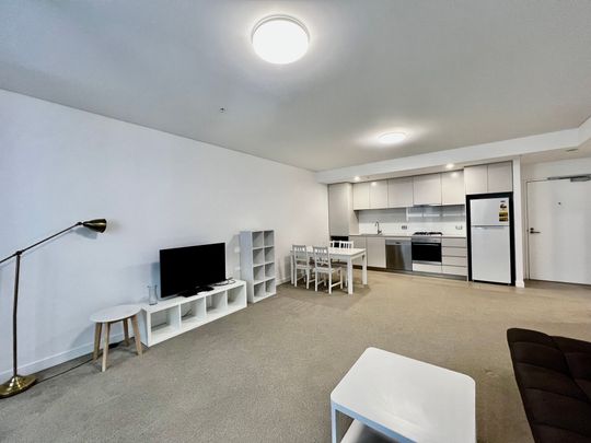 Stylish Fully Furnished 2-Bedroom Apartment with Parking in Wolli Creek - Photo 1