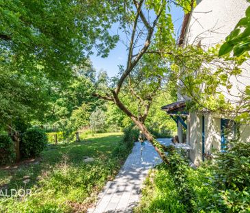 Villa de 6 chambres à louer à Dardilly - 1100m2 de jardin - piscine... - Photo 6