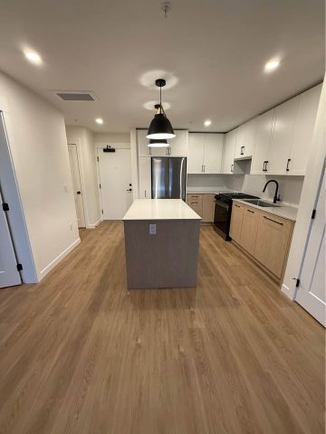 Brand New Condo Near Fraser Highway - Photo 3