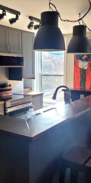 superbe Condo-loft 3 1/2 meublé et entièrement rénové à 5 minutes du métro joliette avec wifi, électtricité et chauffage inclus - Photo 1