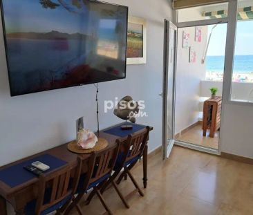 Piso en alquiler en Ronda Maestro Alonso, Número 0 - Photo 2