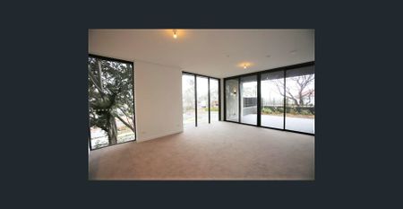 MASSIVE COURTYARD - IMMACULATE 2 BEDROOM WITH STUDY AT PUTNEY HILL - Photo 5