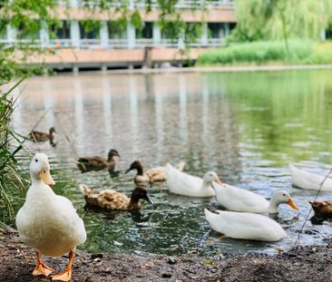 1 bedroom apartment to rent - Photo 2