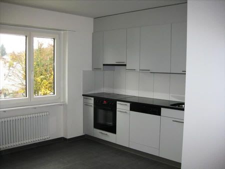 2.5 Zimmer, 52 m², EG - Foto 3