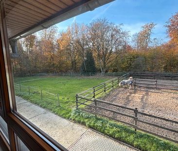 Wohnung zur Miete - Foto 1