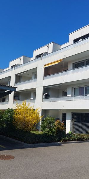 VUARINES 67, 2.5 room apartment with private terrace - Photo 1