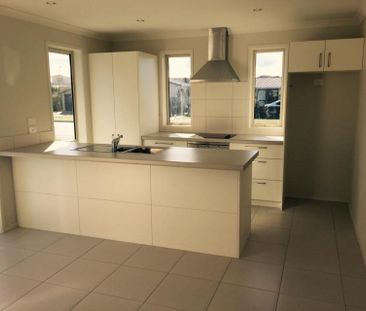 Topaz Delight - Papamoa - Photo 4